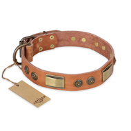 "Lost Desert" FDT Artisan Leather English Pointer Collar with Brass Decorations