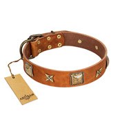 "Celtic Tunes" FDT Artisan Tan Leather English Pointer Collar Adorned with Stars and Squares