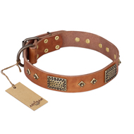 "Catchy Look" FDT Artisan Decorated Tan Leather English Pointer Collar