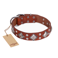"Magic Squares" FDT Artisan Tan Leather English Pointer Collar with Silver-like Decor