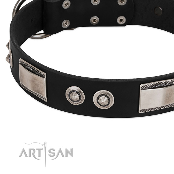 Incredible genuine leather collar for your dog