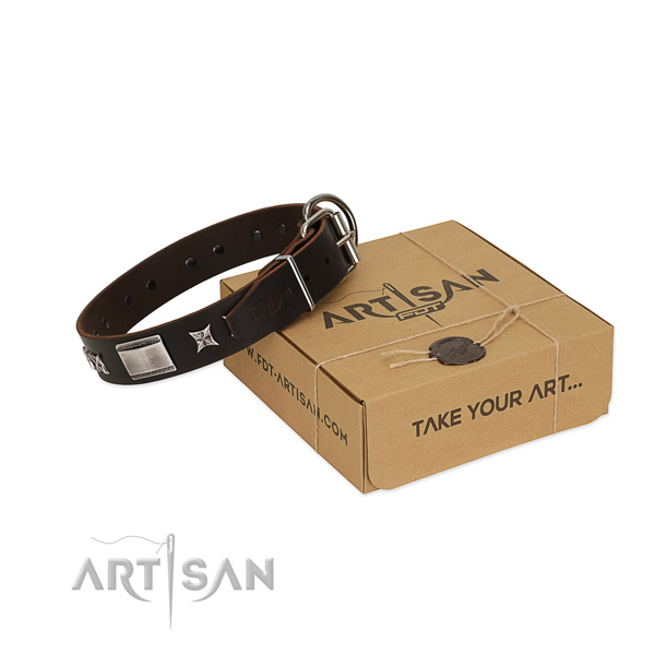Fashionable collar of natural leather for your impressive four-legged friend