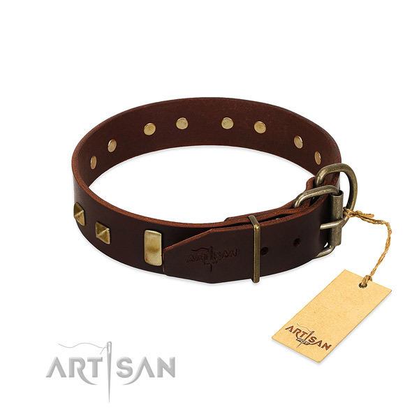 Reliable leather dog collar with durable D-ring