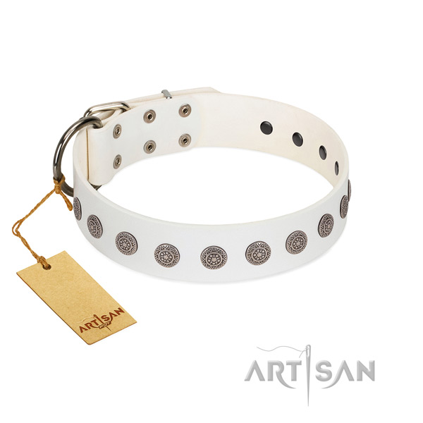 Stylish design full grain leather collar for your canine