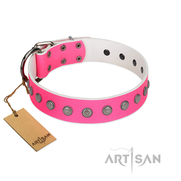 Remarkable decorated natural leather dog collar