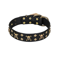 "Jolly Rojer" FDT Artisan Leather English Pointer Collar with Pirate Skulls and Studs - 1 1/2 inch (40 mm) wide