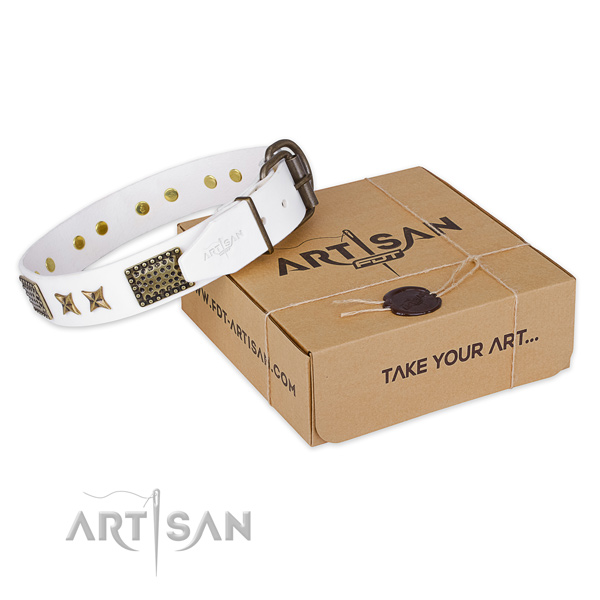 Rust resistant fittings on leather collar for your stylish canine