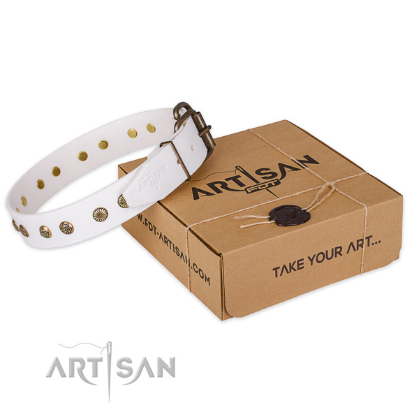 Durable traditional buckle on genuine leather collar for your impressive dog