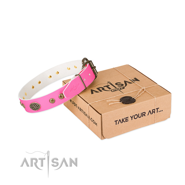 Rust resistant adornments on leather dog collar for your pet