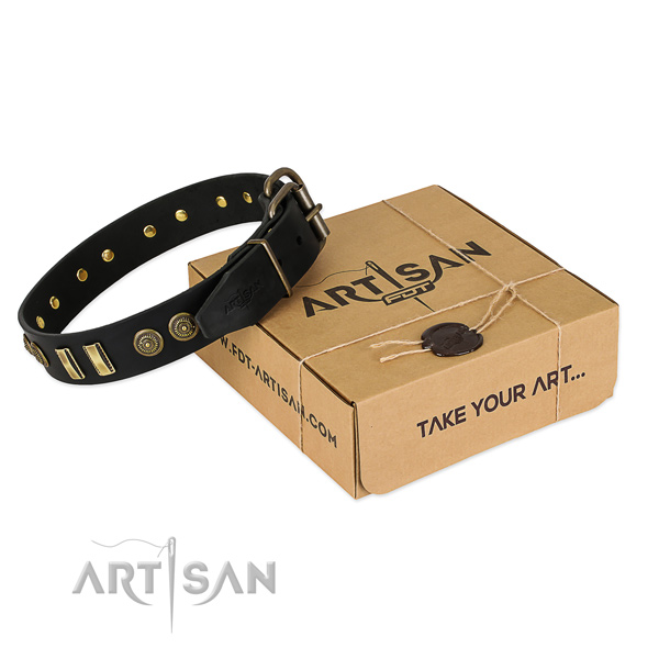 Corrosion resistant studs on natural leather dog collar for your doggie