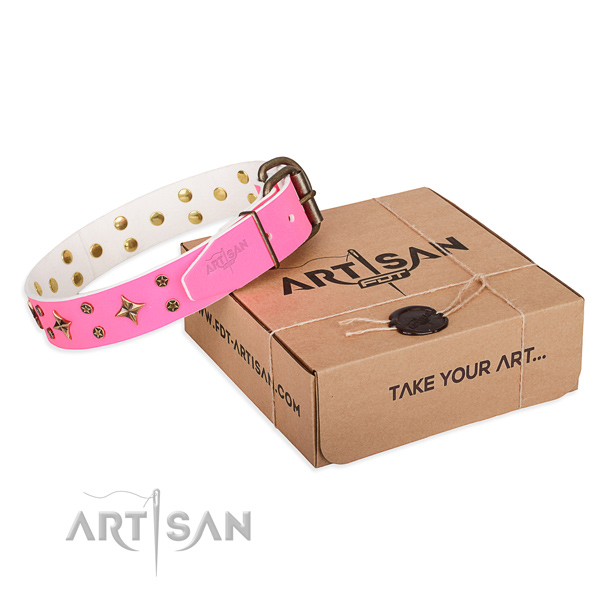 Basic training dog collar of top notch leather with studs
