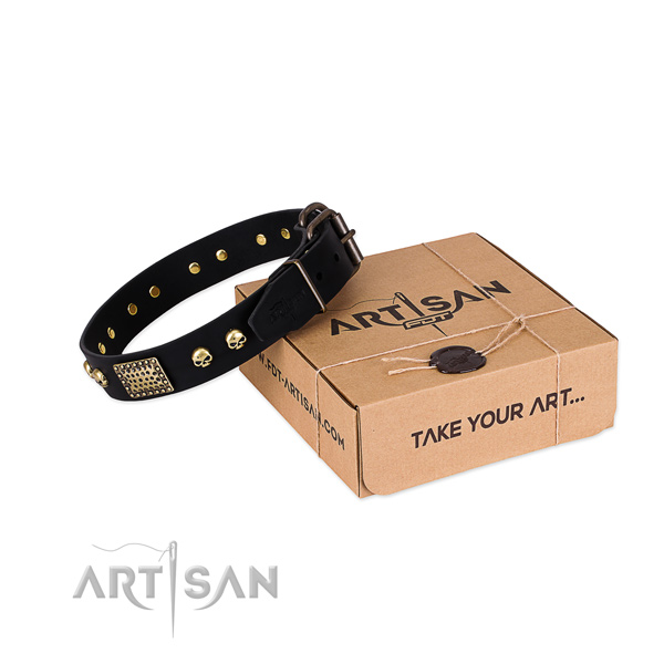 Strong buckle on dog collar for comfortable wearing