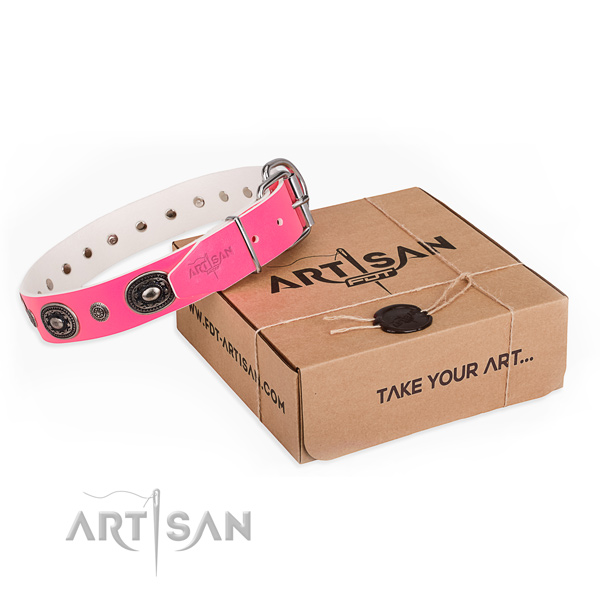 Quality full grain genuine leather dog collar handcrafted for basic training