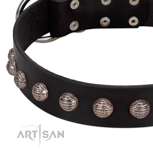 Full grain natural leather collar with remarkable embellishments for your dog