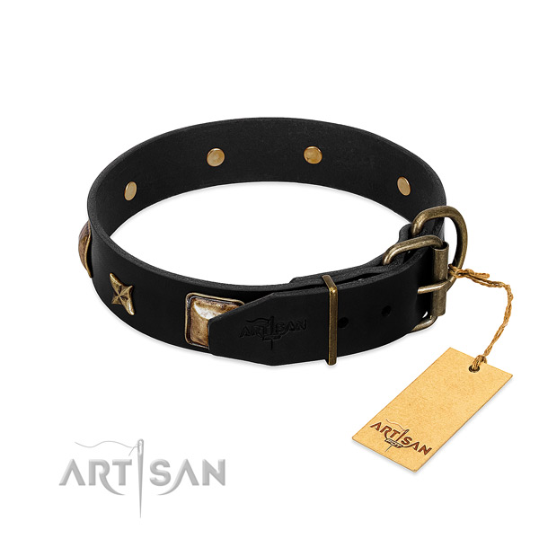 Corrosion resistant fittings on leather collar for walking your doggie