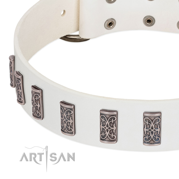 Fashionable full grain natural leather collar for your canine walking