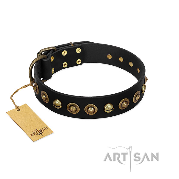 Full grain leather collar with stunning adornments for your four-legged friend