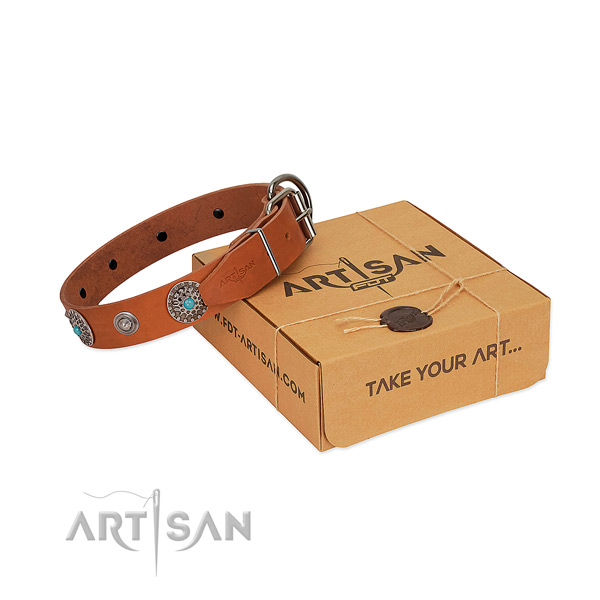 Everyday use genuine leather dog collar with studs