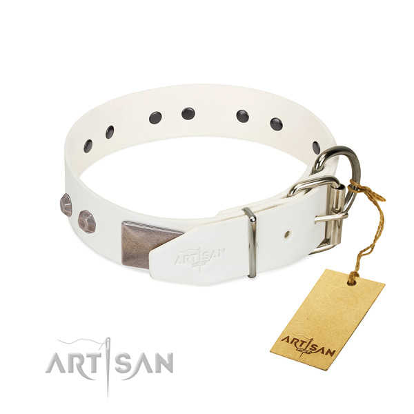 Stylish walking dog collar of natural leather with impressive decorations