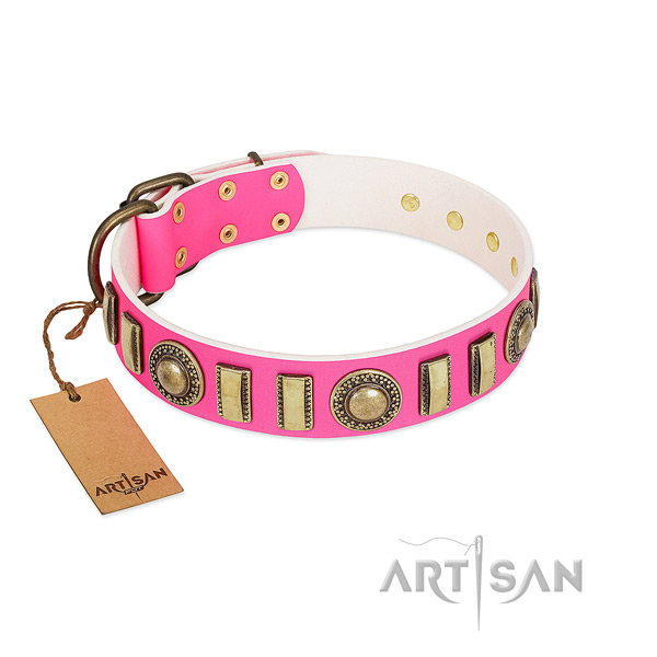 Handcrafted leather dog collar with durable hardware