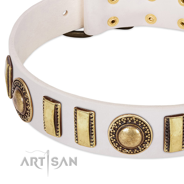 Flexible leather dog collar for your attractive pet