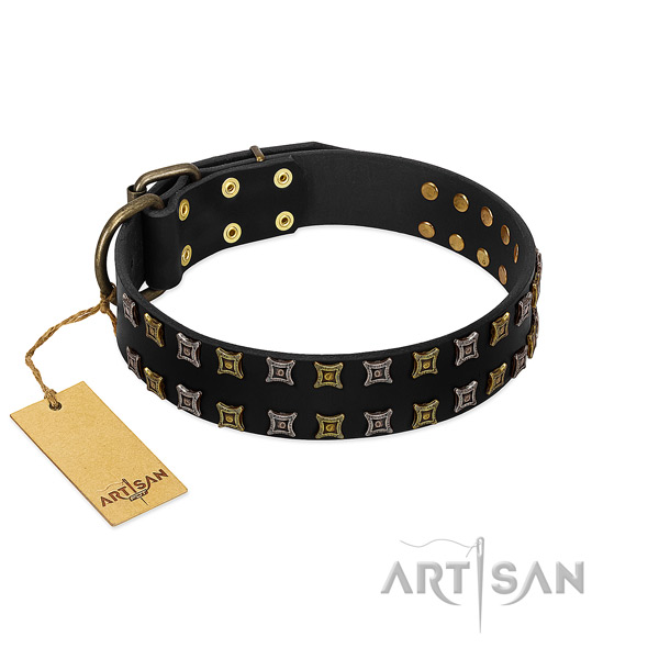 Strong leather dog collar with adornments for your pet