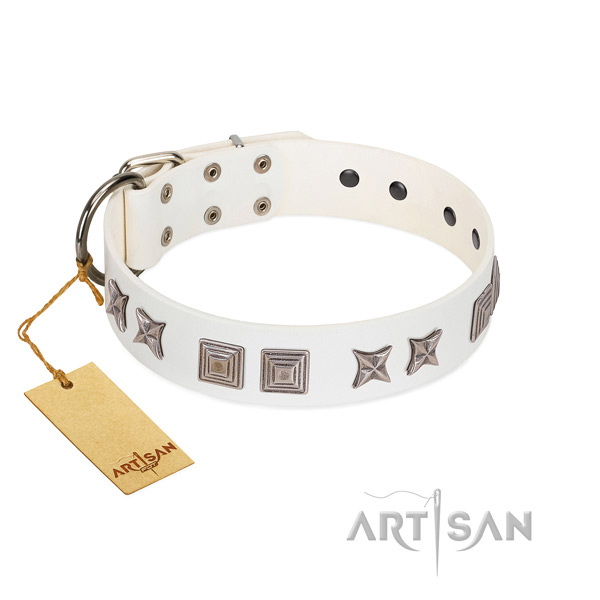 Leather dog collar with extraordinary studs handcrafted canine