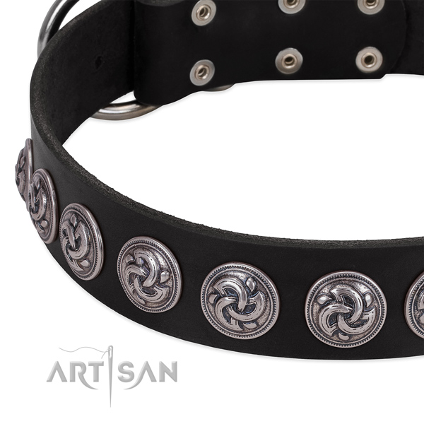 Fashionable genuine leather collar for your four-legged friend stylish walking