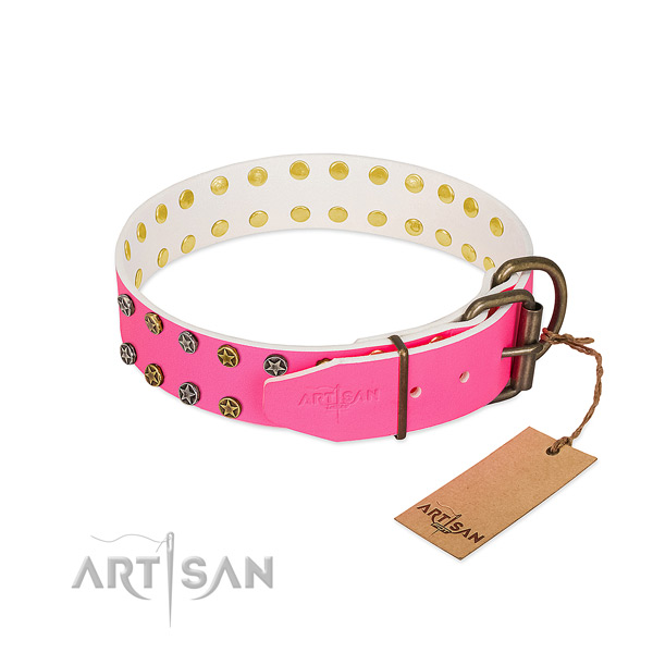 Top notch genuine leather collar with studs for your doggie