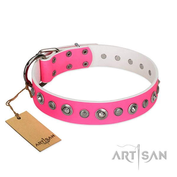 Best quality full grain natural leather dog collar with trendy embellishments