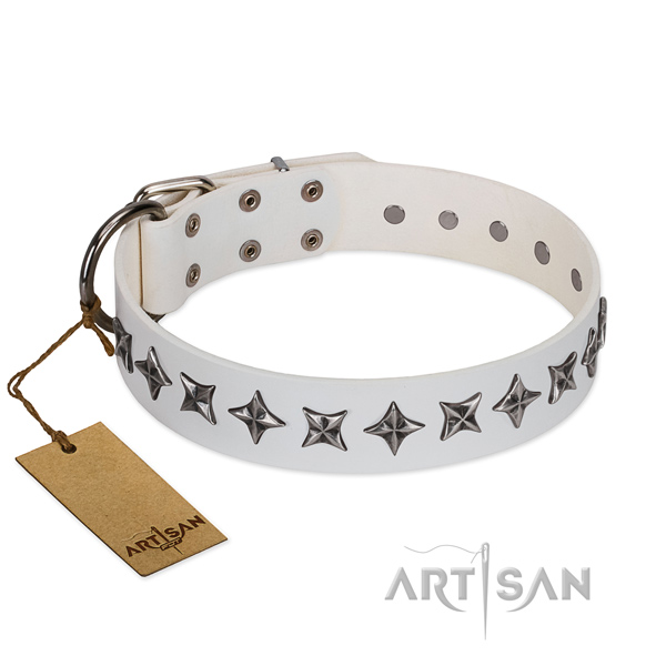 Everyday use dog collar of quality genuine leather with adornments