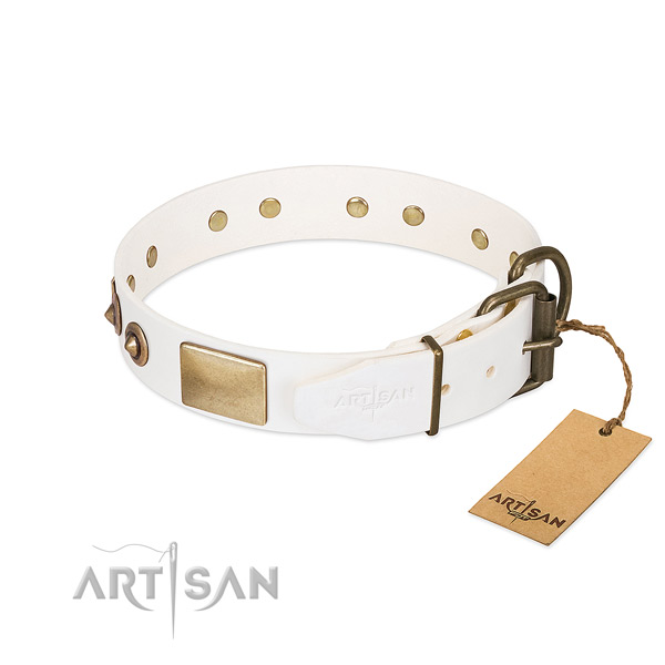 Reliable studs on full grain genuine leather dog collar for your pet
