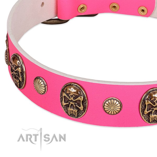 Durable decorations on full grain leather dog collar for your doggie