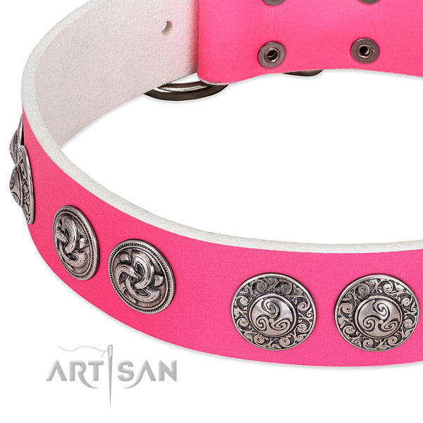 Trendy genuine leather dog collar for walking