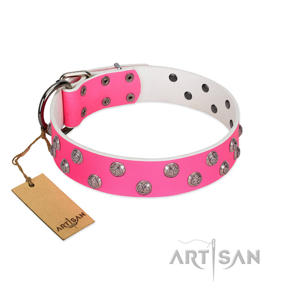 Corrosion resistant buckle on genuine leather dog collar for everyday walking your pet