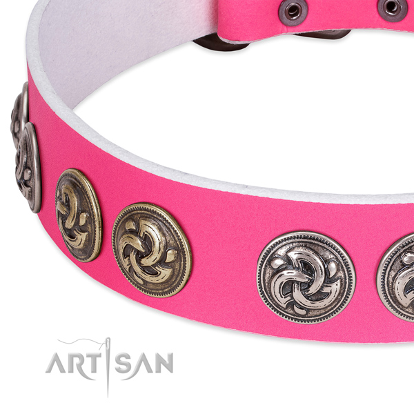 Top notch genuine leather collar for your doggie stylish walks