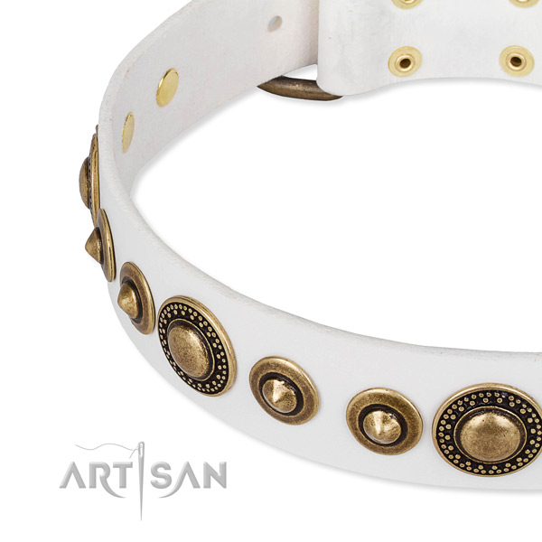 Gentle to touch full grain genuine leather dog collar handcrafted for your impressive dog
