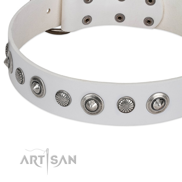 Full grain natural leather collar with corrosion proof D-ring for your attractive doggie