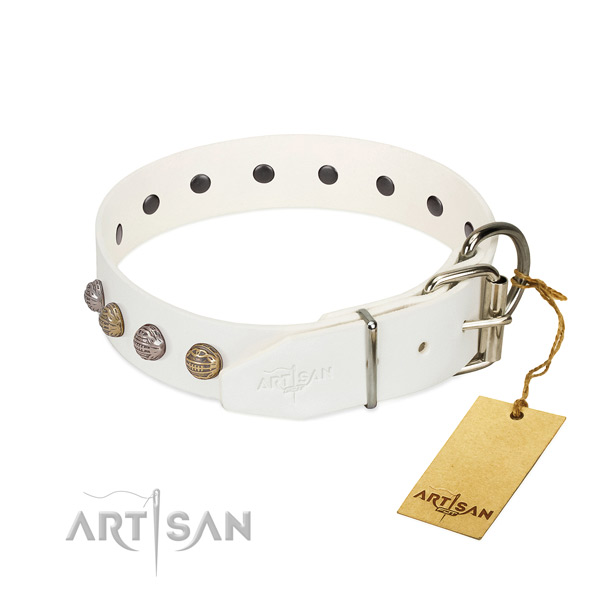 Fancy walking best quality leather dog collar