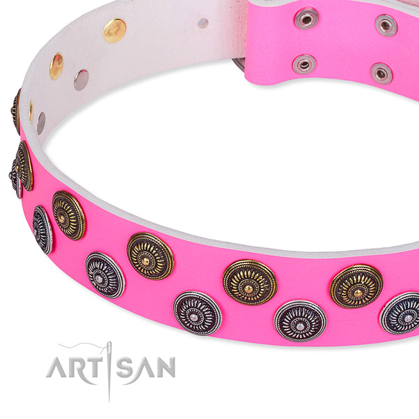Basic training studded dog collar of durable natural leather