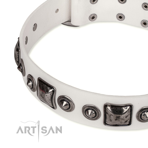 Top notch genuine leather dog collar created for your beautiful dog