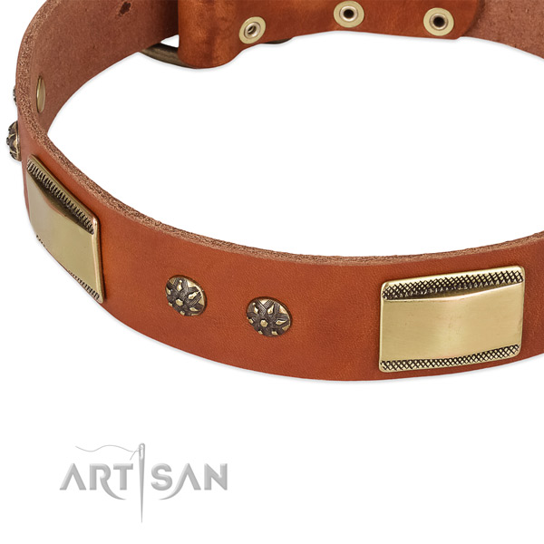 Durable studs on full grain genuine leather dog collar for your pet