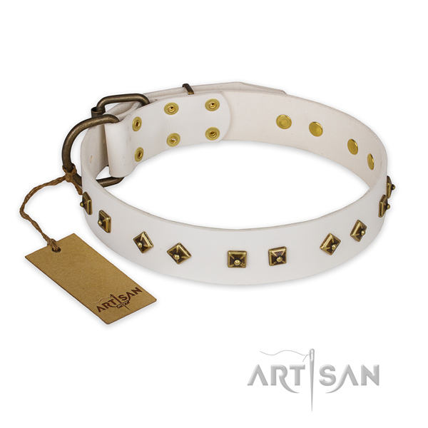 Studded full grain natural leather dog collar with corrosion resistant D-ring