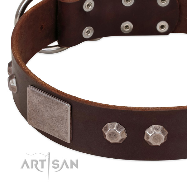 Fancy walking top rate full grain natural leather dog collar