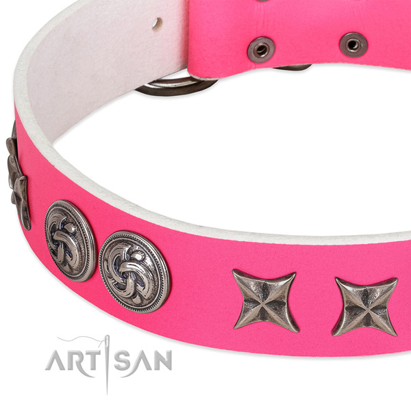 Full grain natural leather collar with stunning adornments for your canine