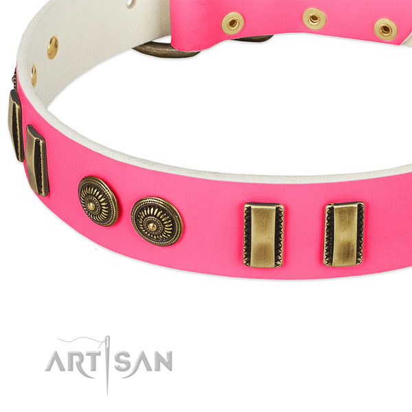 Reliable embellishments on full grain genuine leather dog collar for your dog