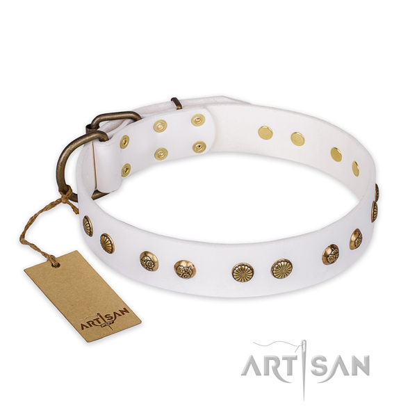 Designer full grain genuine leather dog collar with rust resistant fittings