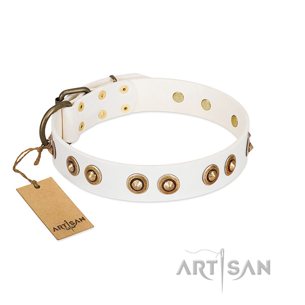 Decorated full grain natural leather collar for your canine