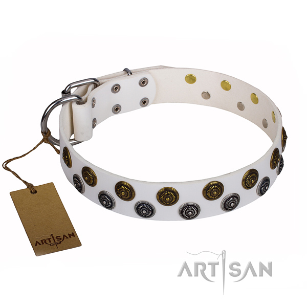 Everyday use dog collar of reliable full grain genuine leather with adornments