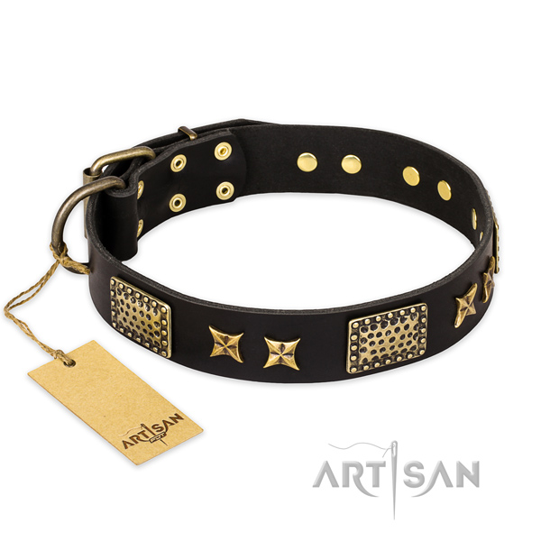 Top quality full grain leather dog collar with strong traditional buckle